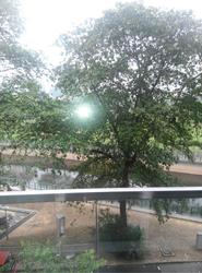 Zenith (D10), Apartment #89913642